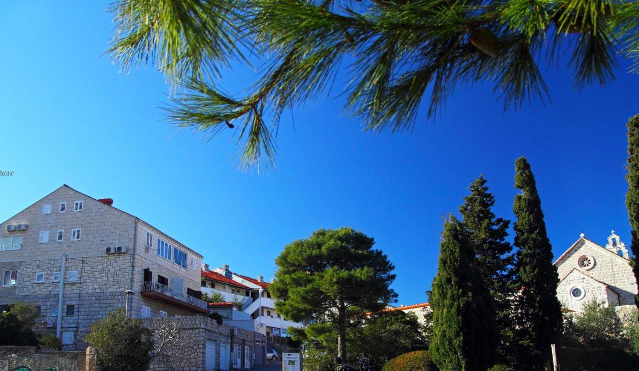 Nikatoni Dubrovnik